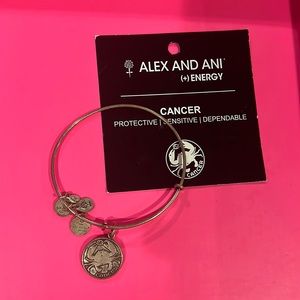 Alex and Ani bracelet